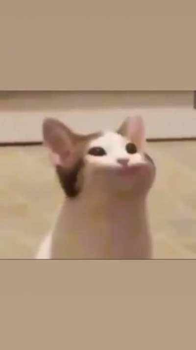 blusviusvluavlivsl