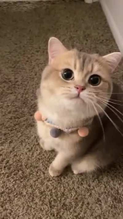 My sweetie