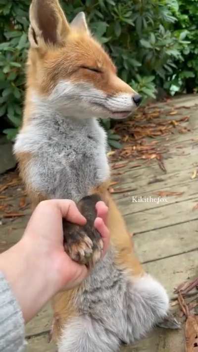 so cute!!!