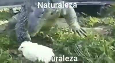 Naturaleza