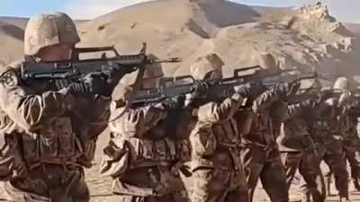 PLA Toys.
