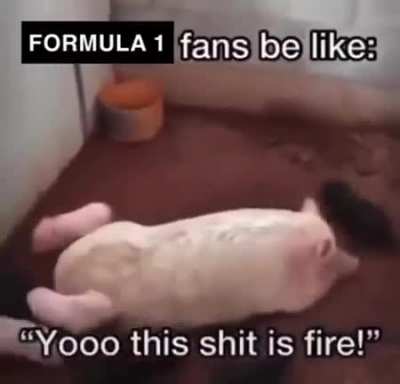 yo shit is fire.