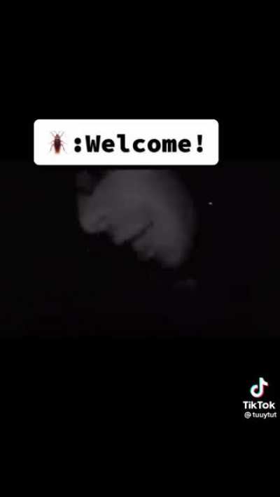 hola dylan