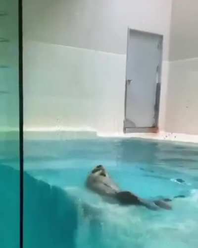 Otter catching some air