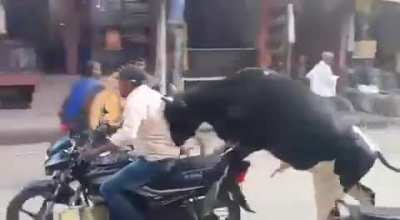 to have sex with a motorbike