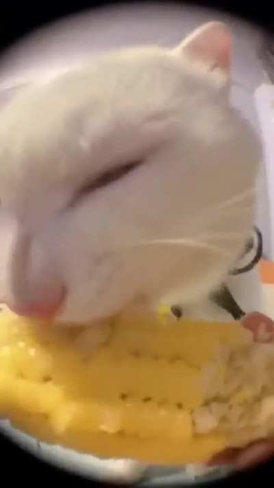 eater wunk