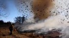 🔥 Dust devil meets a brush fire