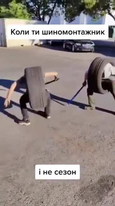 Pigeon fight