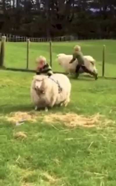 They need me