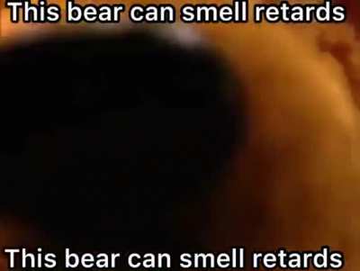 Sniff Sniff