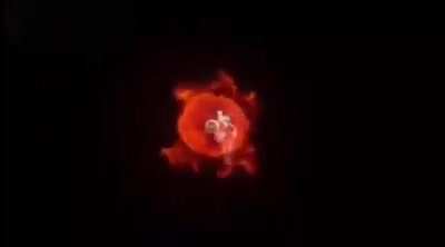Moldy intro