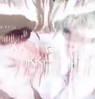 GRIFFIIITHHH!!!!!!!!!