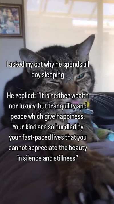 Wunk think socrates