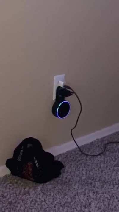 This literally works