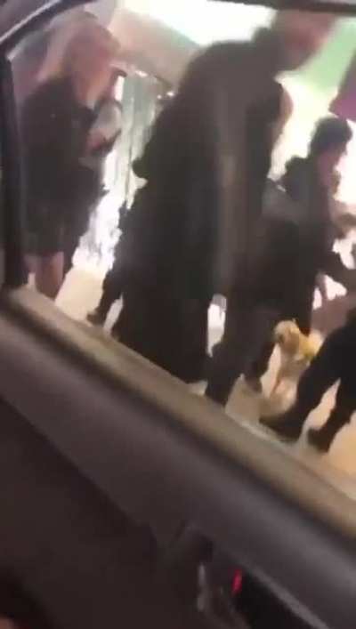 Stupid Cop Dog