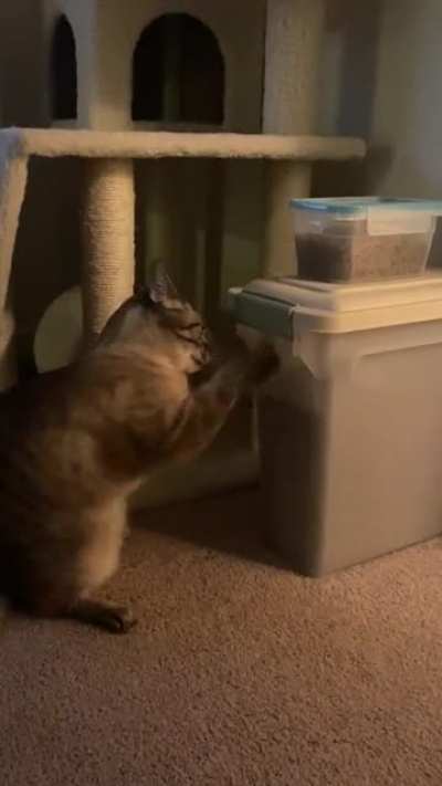 Food taps