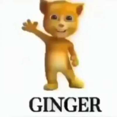 Ginger
