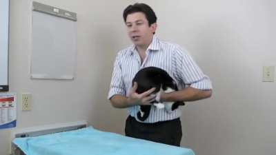 always SQUISH that cat