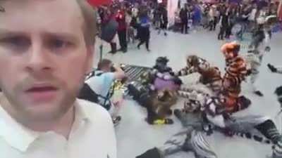 Furries in the wild