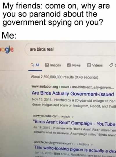 Birds aren't rea-
