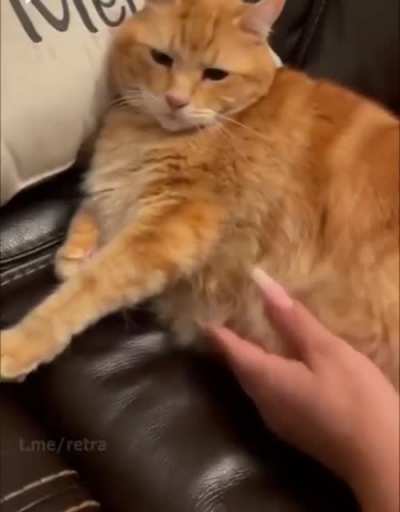 Noooooo