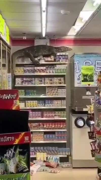 Thailand is crazy.