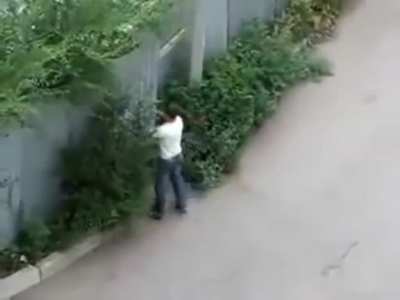 Take that, fence!
