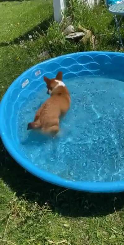 First pool day of the summer