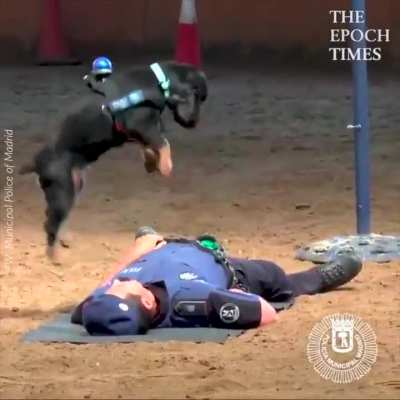 eu_nvr
