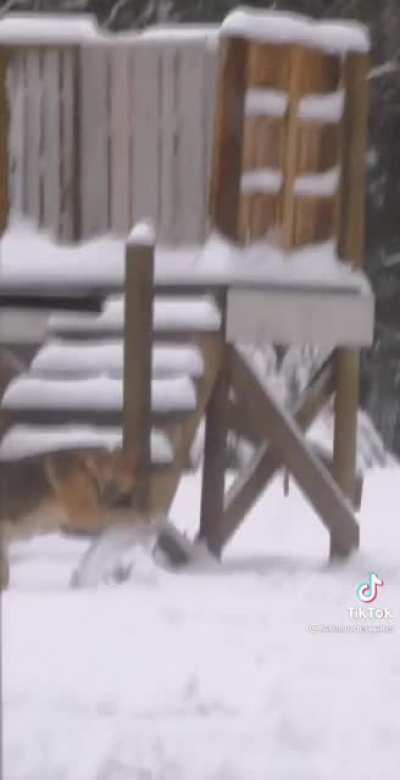 Building a snowman