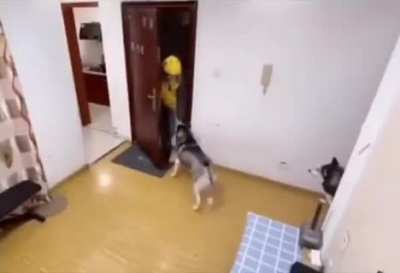 Thanks... now get out!