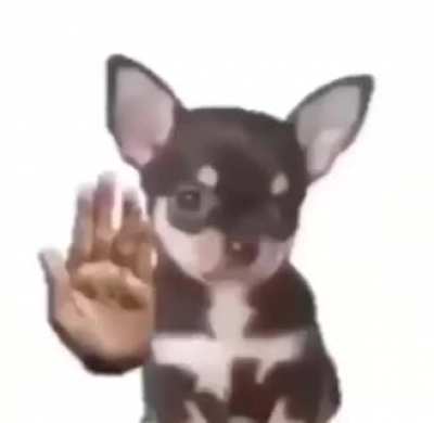 😭