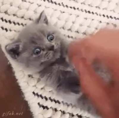 So amazing