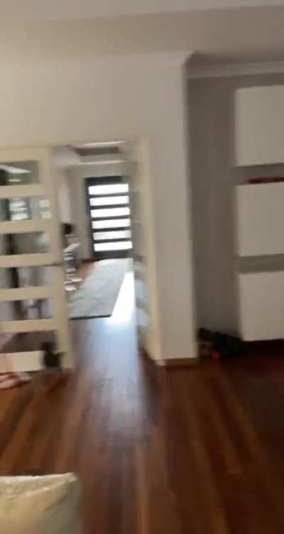 The Yaoi Incident