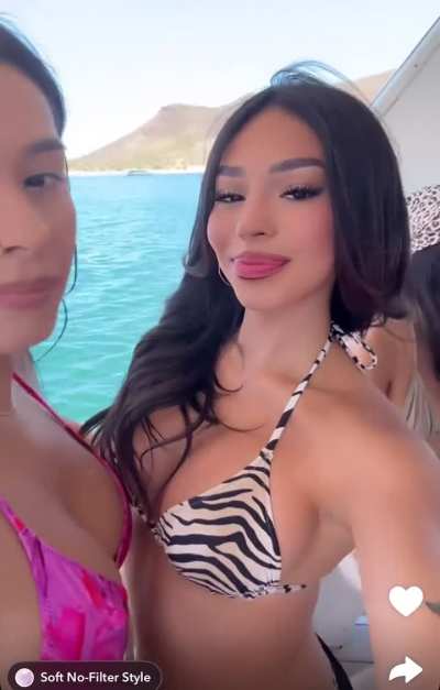 dessmx and friends