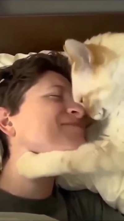 Snuggle buddy