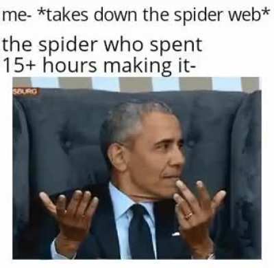But why tho?
