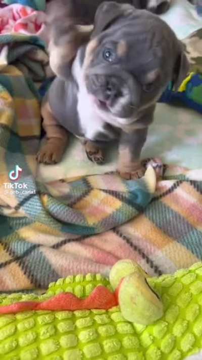 please give one name for him