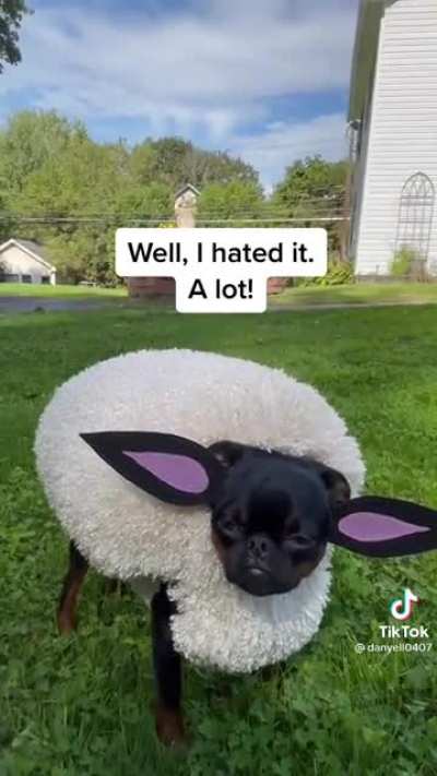 Well I hated it