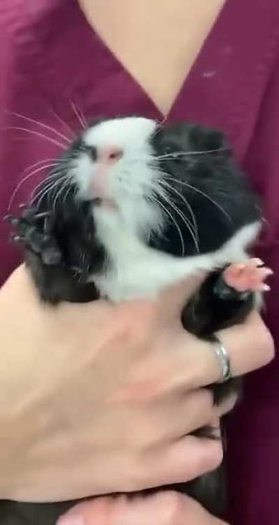 He charged that scream up