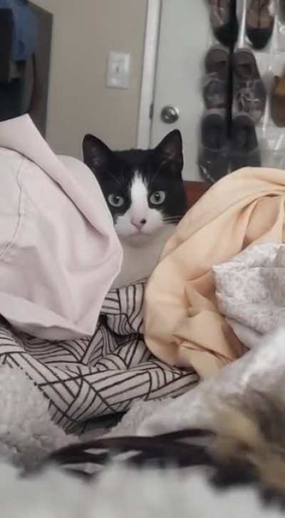 A Natural Hunter