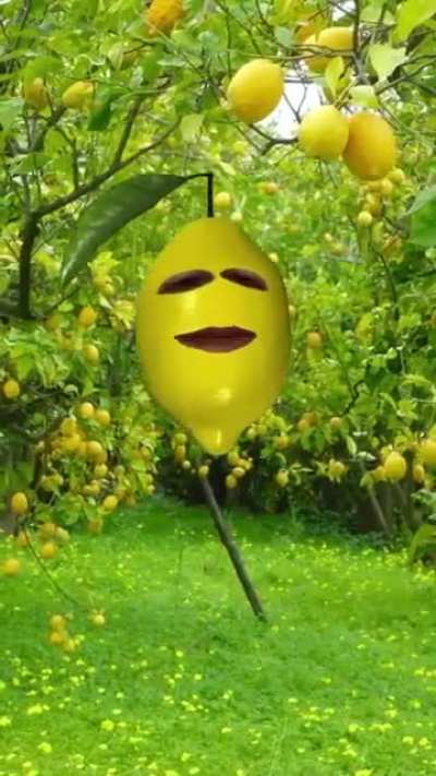 He's a lemon
