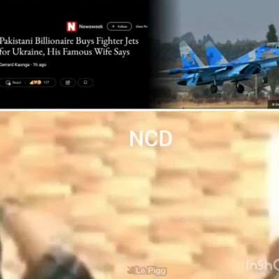 Pakistan Pls