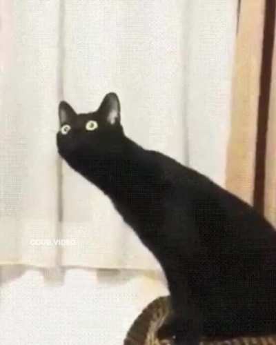 Дочь трубо<wbr>чиста