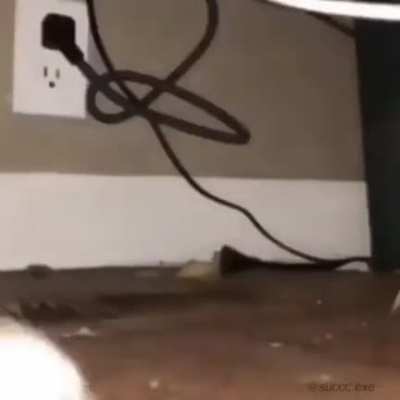 You spin