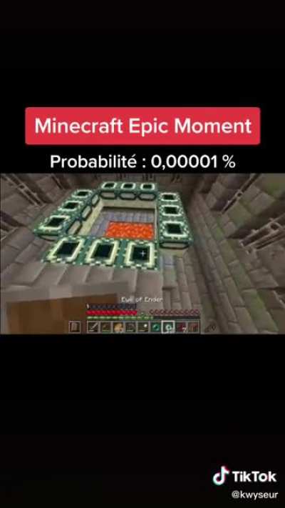 xd
