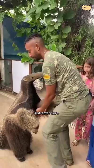 ABSURD CREATURE