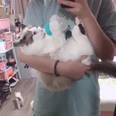 Iti