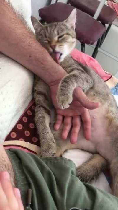 Does your cat loves to lick you like mine?😍