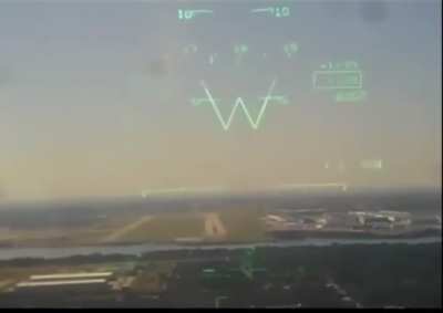 Bird is sucked in to jet’s engine causing it to crash
